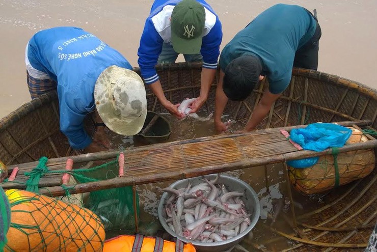 Đầu năm, cá khoai là món đặc sản được nhiều người yêu thích bởi những ngày Tết mọi người đã ngán các loại thịt.
