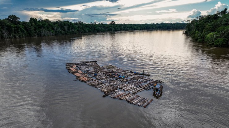 Một sà lan chở gỗ khai thác lậu từ rừng Amazon trôi tự do xuôi dòng sông Javari gần São Luís. Ảnh: National Geographic