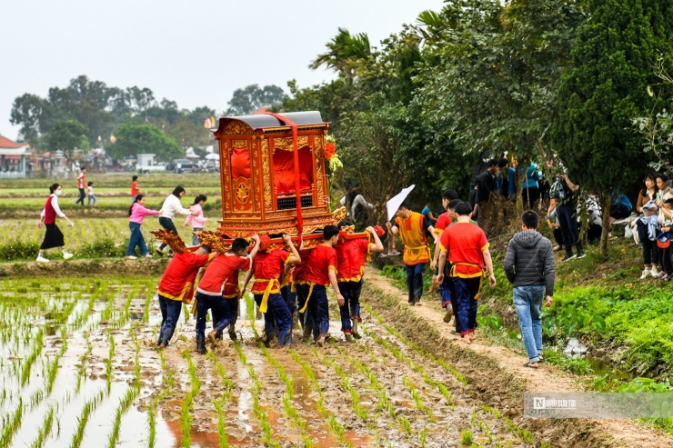 Đoàn phù giá rước kiệu mang chân trần lội ruộng.