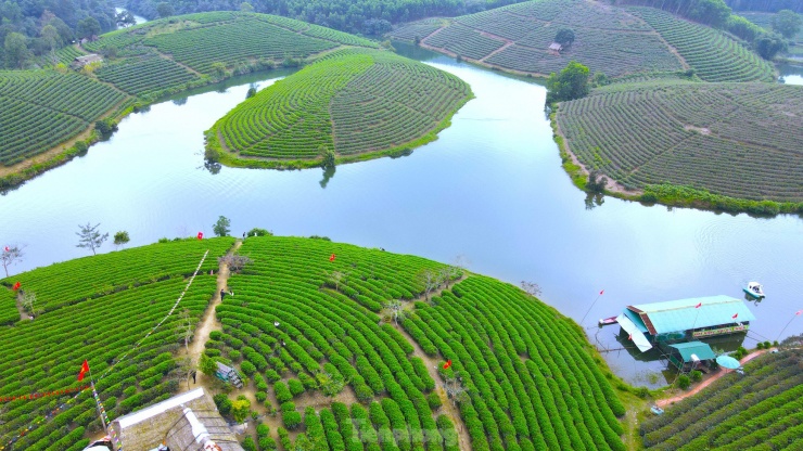 Nơi đây có cả trăm hộ dân trồng chè với diện tích lên đến hàng trăm ha. Những đồi chè xanh bát ngát, bao quanh bởi hồ nước trong xanh tạo nên nét vẽ đầy thơ mộng trong bức tranh quê hương xứ Nghệ thu hút đông đảo giới trẻ đến tham quan và check in.