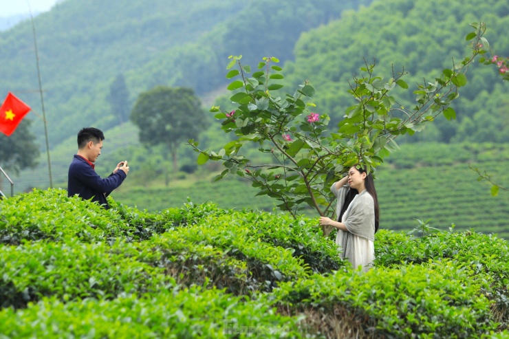 Dịp đầu năm mới, các đôi trai gái, gia đình trẻ thường đưa nhau đến đồi chè để chụp hình lưu lại những khoảnh khắc yêu thương.