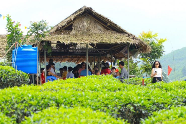 Trên đảo chè được các hộ dân dựng nhiều lán trại để làm các dịch vụ ăn uống giải khát phục vụ du khách khi về tham quan.