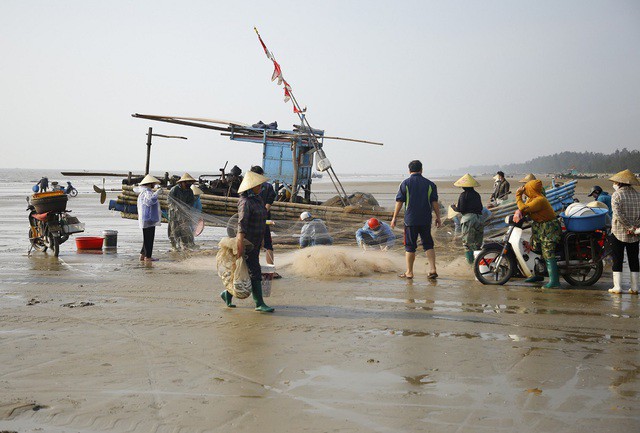 Sau khi đánh bắt vào bờ, ngư dân không phải mang cá đi bán mà thương lái đã chờ sẵn để thu gom cá mang đi tiêu thụ