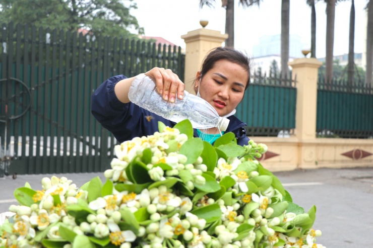 Chị Hòa (30 tuổi, Hưng Yên) cho biết, chị bán hoa bưởi được chục năm nay ở Hà Nội. Sáng nay chị mang 8 kg hoa bưởi đi bán, hết chị lại về lấy thêm. Mùa hoa bưởi thường kéo dài từ khoảng mùng 10 đến hết tháng Giêng Âm lịch. Mỗi khi trời mưa hoặc nồm ẩm thì nhiều người thích mua loại hoa này để trong nhà cho thơm.