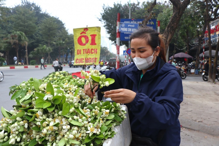 Theo người bán, trong số các loại hoa bưởi đang bán trên thị trường, hoa bưởi Diễn có giá đắt nhất, từ 500.000 đồng/kg. Tuy nhiên, cũng vì giá này mà hoa bán kém chạy hơn hoa bưởi chua, ít người nhập về bán.