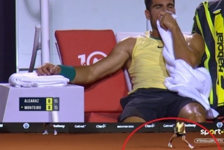 Alcaraz gặp chấn thương phải bỏ Rio Open, có kịp đấu Nadal tại Mỹ?