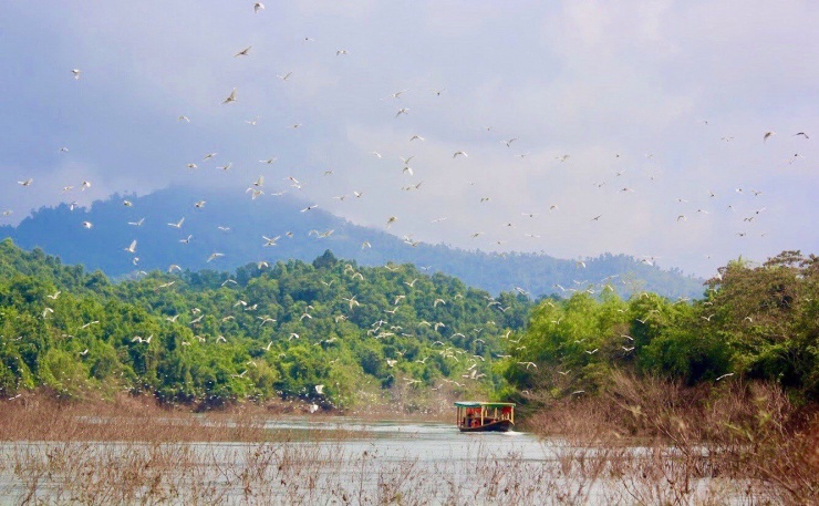 Vẻ đẹp hoang sơ của &#39;viên ngọc xanh&#39; ở Hà Tĩnh - 1