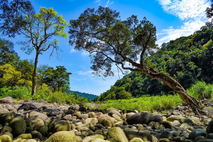 Vẻ đẹp hoang sơ của &#39;viên ngọc xanh&#39; ở Hà Tĩnh - 2