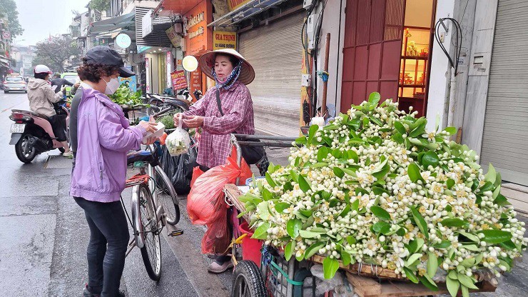 Cách đó không xa, trên phố Hàng Khoai, Hàng Lược, phố Quán Thánh,... cũng xuất hiện rất nhiều các gánh hàng rong bán hoa bưởi dạo. Hoa bưởi có giá trung bình 20.000 – 30.000 đồng/lạng, thường được người bán bó từ 2 – 3 lạng/bó.