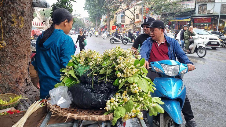 Thức dậy từ 2h sáng làm công việc này, chủ vườn bỏ túi tiền triệu mỗi ngày - 2