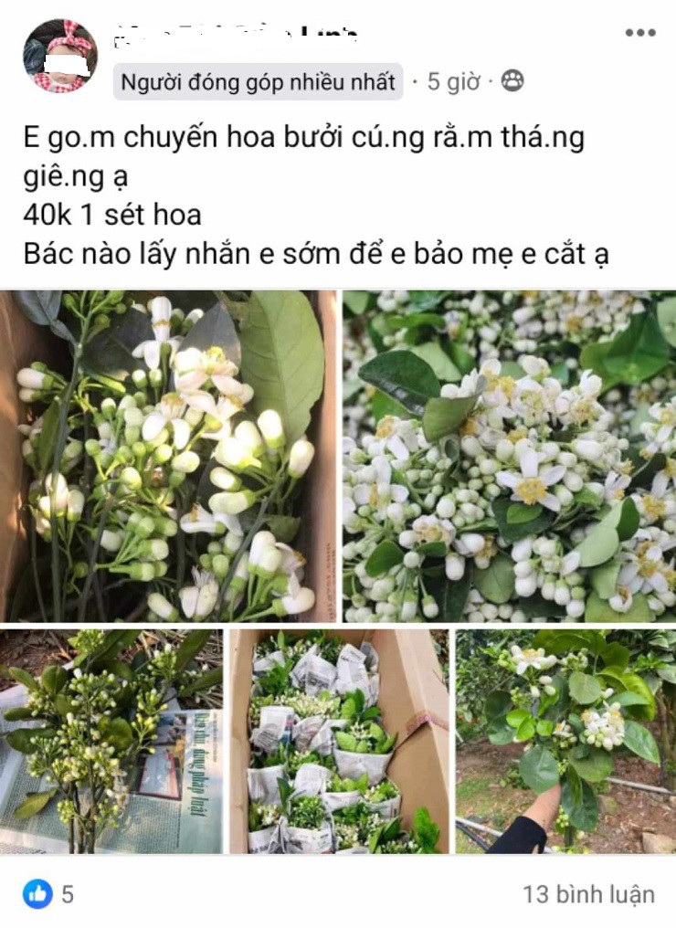 Trên nhiều trang mạng, hoa bưởi được bán theo set hoặc theo từng lễ đẹp mắt với giá dao động từ 40 - 200 nghìn/đơn