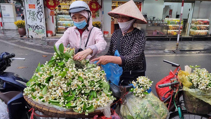 Chị Mến (quê Hưng Yên) chia sẻ: “Nhà mình có vườn bưởi Diễn, tranh thủ mùa hoa đang nở mình và người nhà cùng hái, rồi mình mang ra Hà Nội bán dạo. Hoa của nhà nên có sao bán thế, trung bình mỗi ngày mình bán được từ 10 – 15 kg hoa tươi”.