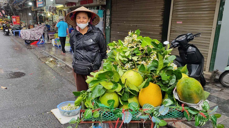 Hoa bưởi có hương thơm mát đặc trưng, nhưng loại hoa này lại chỉ nở trong khoảng thời gian nhất định&nbsp;1 – 2 tháng sau Tết Nguyên đán. Hoa bán được giá, nên các nhà vườn cũng tranh thủ thời điểm hoa nở rộ để cắt hoa bán.