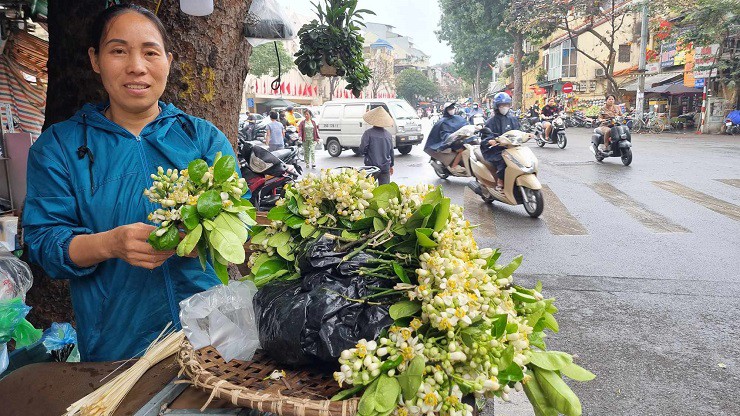 Chị Hồng, chủ vườn bưởi Diễn bên những bông hoa bưởi của nhà trồng được