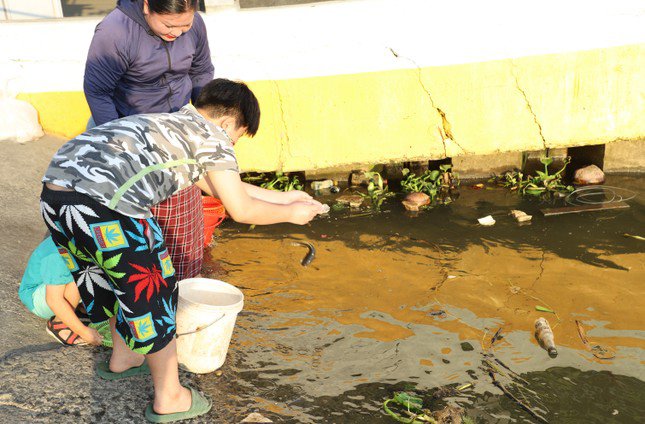 Các gia đình đưa con em đi và cùng tham gia thả cá phóng sinh trong ngày rằm như một việc làm mang lại bình an, phước lộc cho bản thân và những người thân.