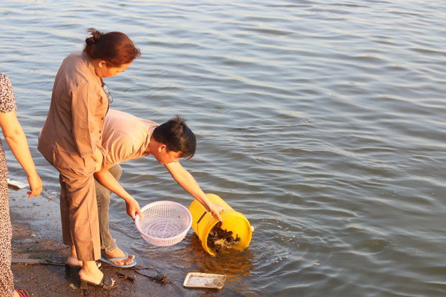 Các loài cá được thả về với môi trường tự nhiên chở theo ước vọng về những điều đẹp đẽ của người phóng sinh.