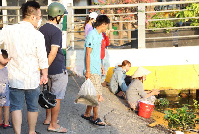 Ngay sau khi bắt được cá, người thanh niên này mang ra ngỏ ý bán lại cho những người đang đứng phóng sinh gần bến đò.