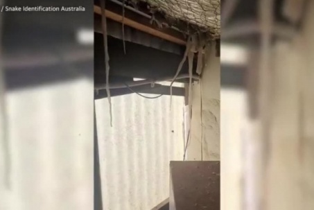 Video: Bí mật đáng sợ trên tầng gác mái của một căn nhà mới mua
