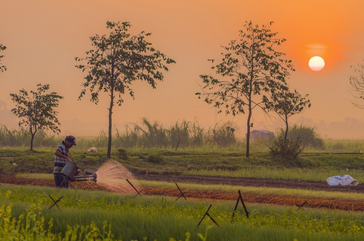 Cuộc sống bình yên trôi qua ở ngôi làng ngoại ô xứ Huế.