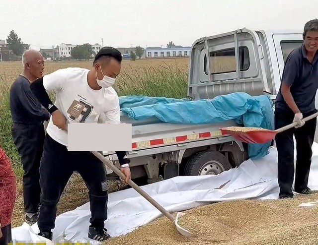 Thấy cảnh bố chồng cũ và chồng cùng nhau làm việc đồng áng người vợ rất xúc động.