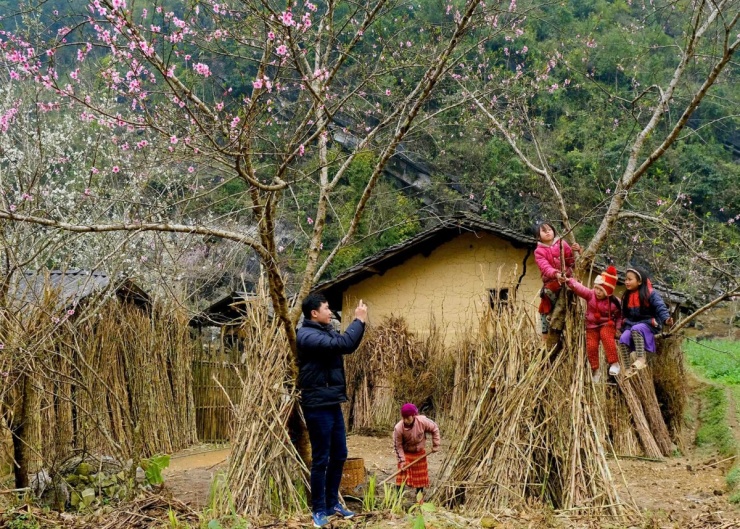 Muôn hoa khoe sắc ở Hà Giang - 2