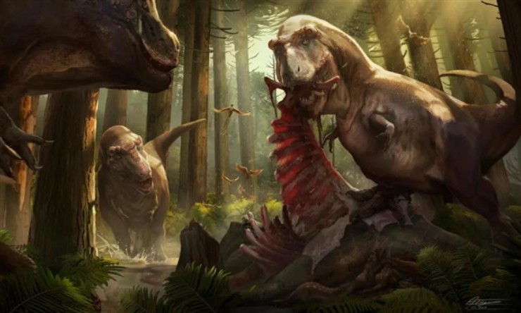 Chi nhỏ giúp khủng long&nbsp;Tyrannosaurus không ăn nhầm "đồng đội".