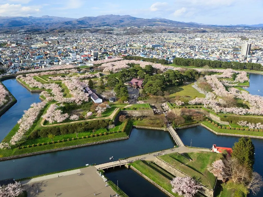 Công viên Goryokaku, Hokkaido là một di tích lịch sử nổi tiếng, còn được gọi là lâu đài hình ngôi sao. Có khoảng 1.530 cây hoa anh đào trồng trong công viên, hoa thường nở rộ vào cuối tháng 4.