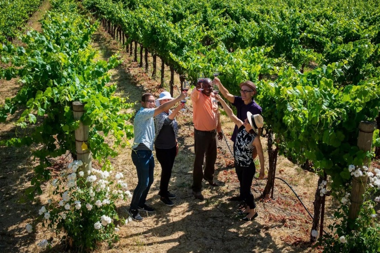 Thưởng thức rượu nho ngay trên cánh đồng ở California. Ảnh: Extranomical Tours.