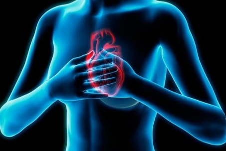 Bệnh tim là "sát thủ thầm lặng" nhưng có thể phòng tránh được nếu biết những điều này