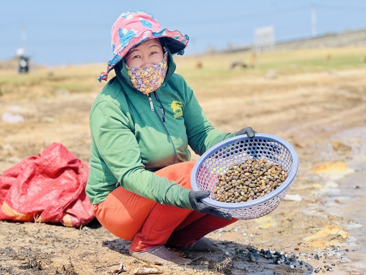 Từ sáng sớm, chị Trần Thị Liên (trú phường Trần Hưng Đạo, TP.Kon Tum) đã cùng chồng kiếm một vũng nước cạn gần bờ để cào hến. Công việc chính của hai vợ chồng chị là thợ xây và thợ hồ. Đợt này hết việc nên tranh thủ đi đãi hến kiếm ít tiền học cho các con.