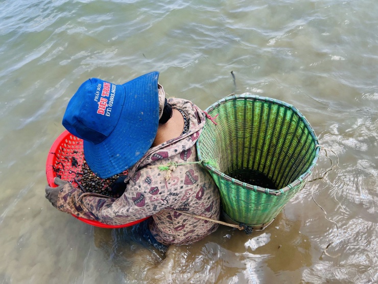 Chỉ cần một cào, cái rổ và một cái gùi (có thể đựng bằng túi lưới, bì xác rắn) là có thể bắt đầu công việc cào, đãi hến.