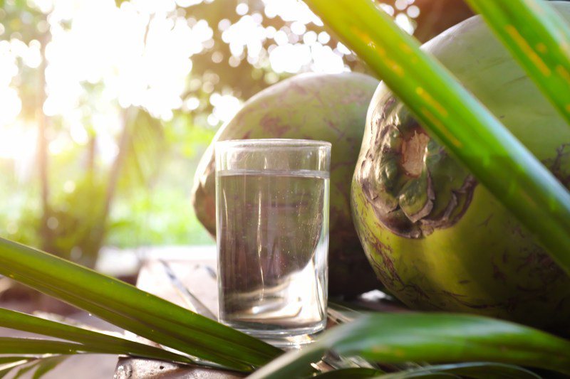 Chàng uống nước dừa sẽ nhận được 8 lợi ích này - 3