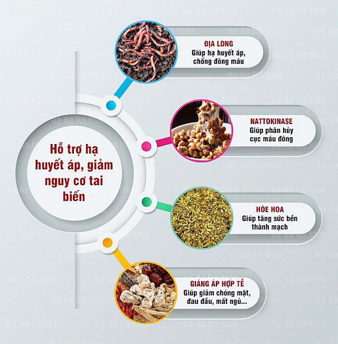 Công dụng của một số thảo dược có tác dụng ổn định huyết áp, giảm nguy cơ tai biến (đột quỵ)