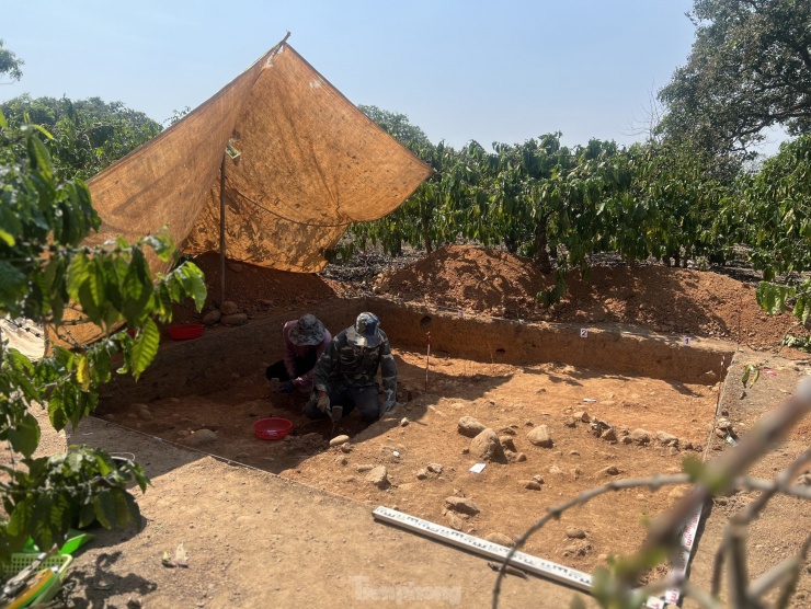 Địa điểm khai quật tại thôn 7, xã Đắk Drô (huyện Krông Nô) được đoàn khảo sát địa chất của Tiến sĩ La Thế Phúc (Hội khảo cổ học Việt Nam) phát hiện từ năm 2022.