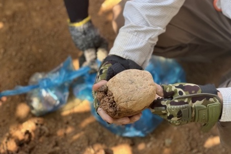 Khai quật khảo cổ ở Đắk Nông, phát lộ nhiều dấu tích người tiền sử