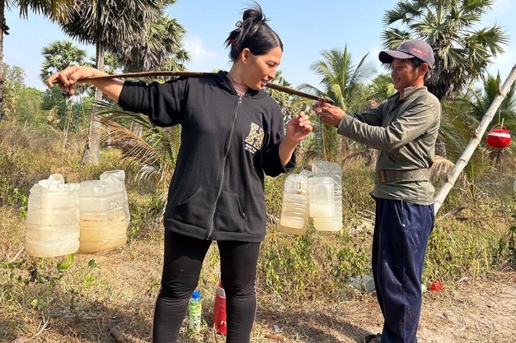 Vừa xuống mặt đất anh Tín vội vã đem mật cho vợ gánh vào nấu đường. Ảnh: HẢI DƯƠNG