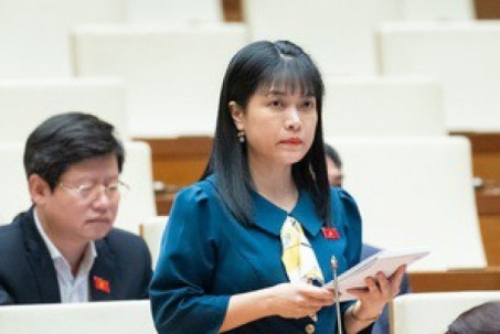 Đại biểu chất vấn Bộ trưởng Ngoại giao việc "ít nước miễn thị thực cho công dân Việt Nam"