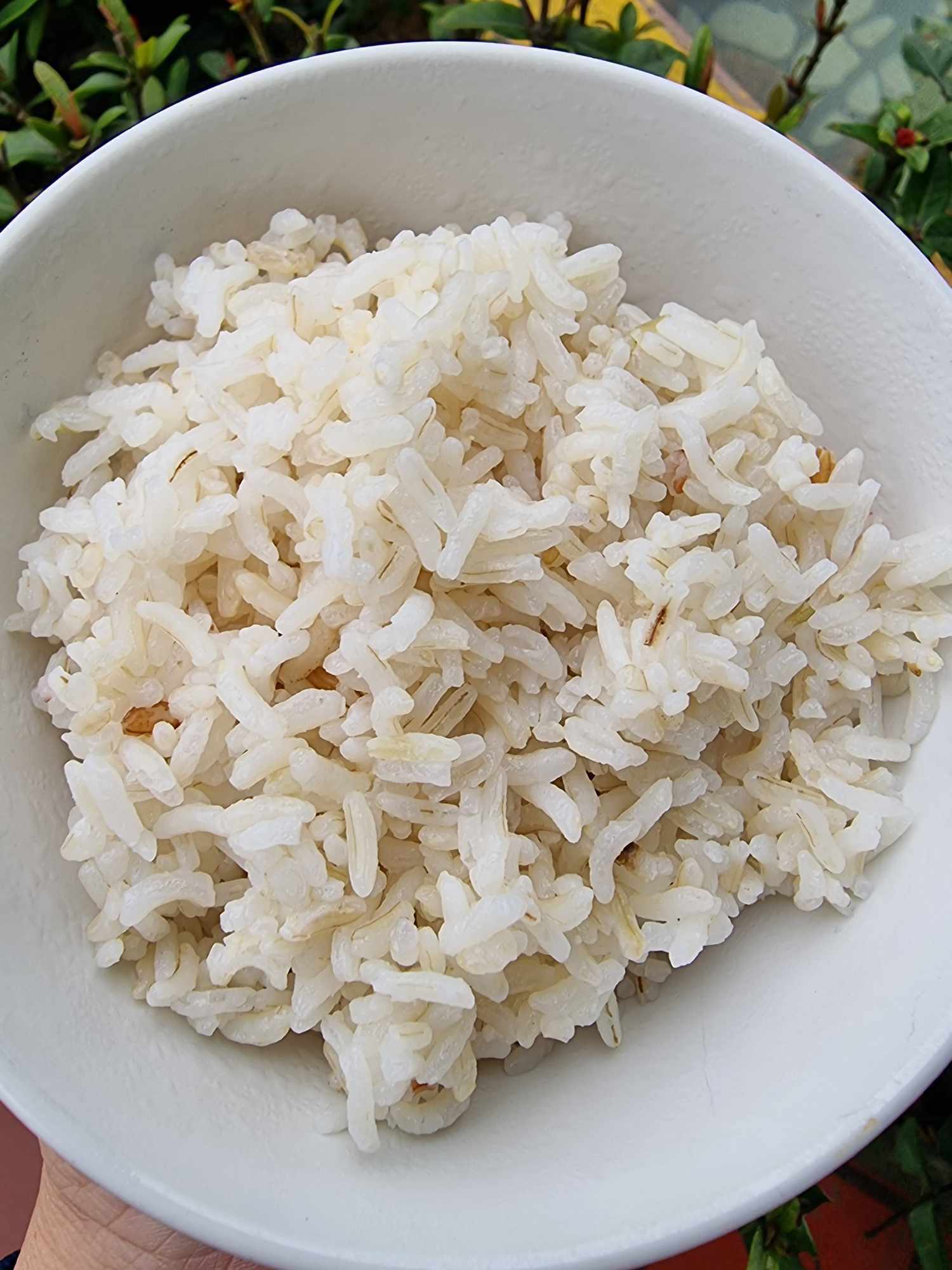 Theo chị Sinh, loại gạo xát dối ăn thơm, ngon hơn gạo xát trắng.