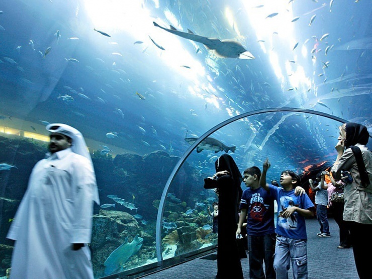 Du khách khó có thể bỏ qua thủy cung Dubai chứa 10 triệu lít nước biển, nơi sinh sống 33.000 động vật, trong đó có 300 con cá mập và cá đuối. Giá vé tham quan cho 1 người lớn là khoảng 50 euro.