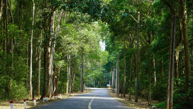 Rừng phòng hộ Xuân Sơn nằm trên địa bàn huyện Châu Đức (tỉnh Bà Rịa – Vũng Tàu) là khu rừng trồng từ năm 1980 theo chương trình phủ xanh đất trống, đồi trọc và trồng rừng tái sinh.