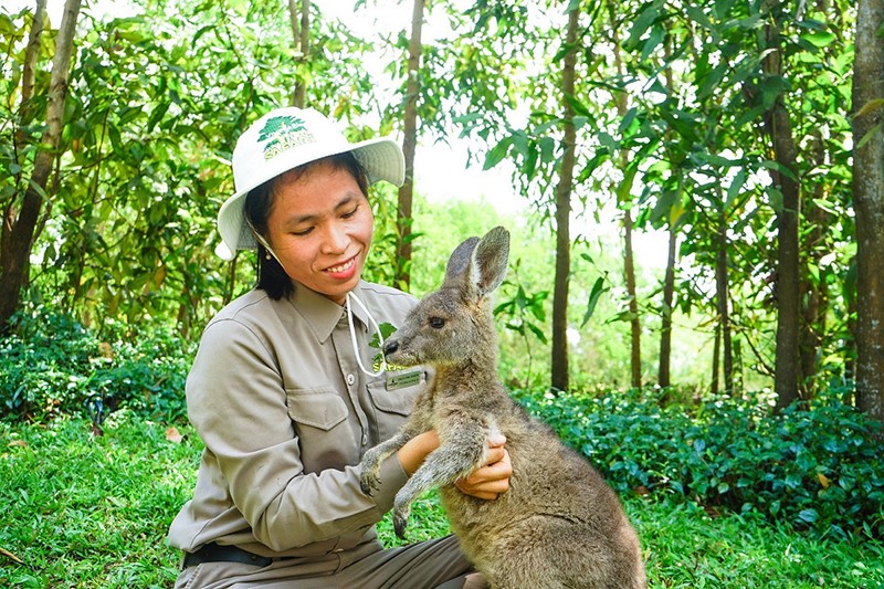 Thầm lặng những “bảo mẫu lênh đênh ngày đêm” cùng động vật hoang dã ở River Safari - 1