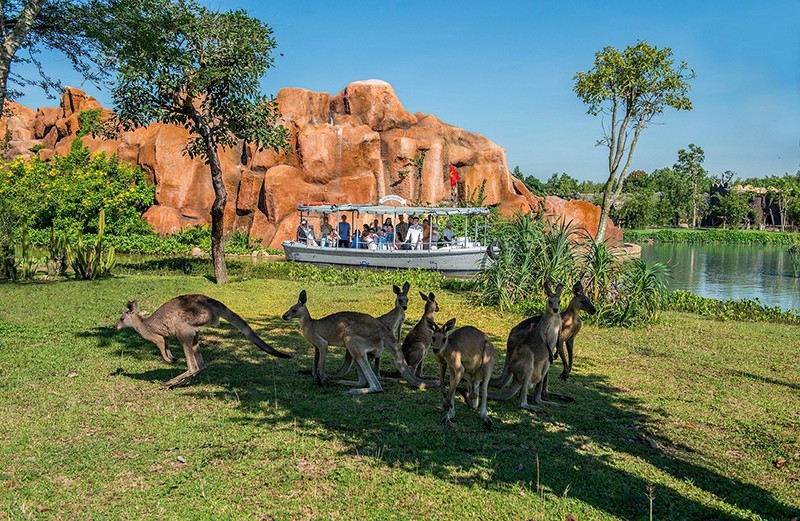 Thầm lặng những “bảo mẫu lênh đênh ngày đêm” cùng động vật hoang dã ở River Safari - 6