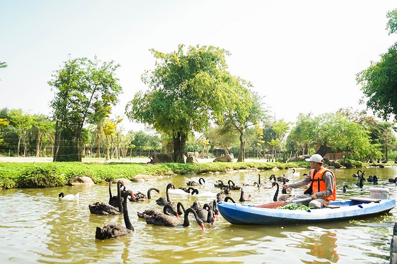 Thầm lặng những “bảo mẫu lênh đênh ngày đêm” cùng động vật hoang dã ở River Safari - 2