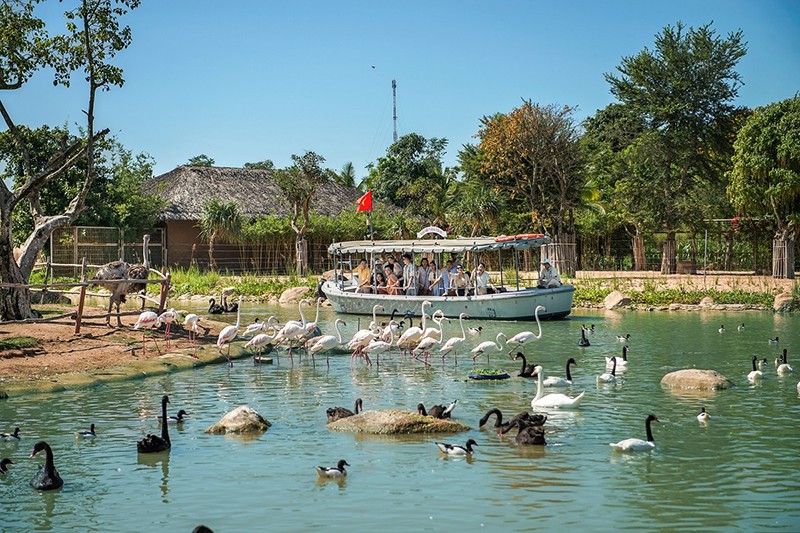 Thầm lặng những “bảo mẫu lênh đênh ngày đêm” cùng động vật hoang dã ở River Safari - 3