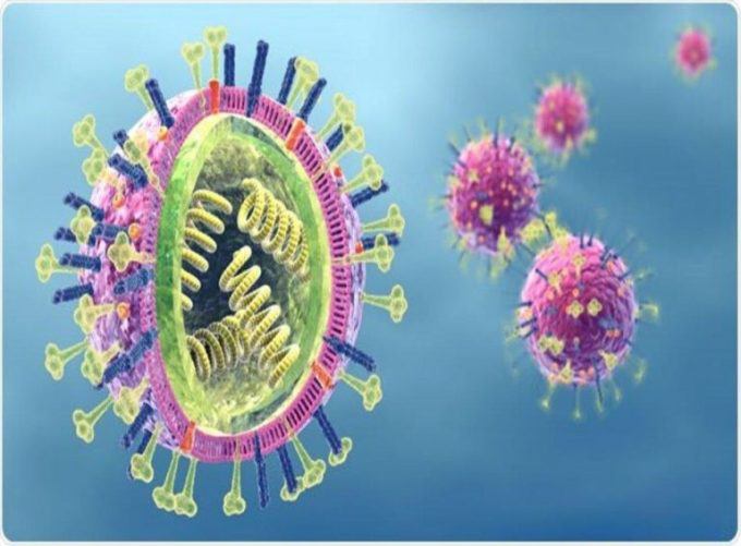 Mô phỏng virus cúm A/H5. Ảnh: Bệnh viện Nhi đồng Thành phố