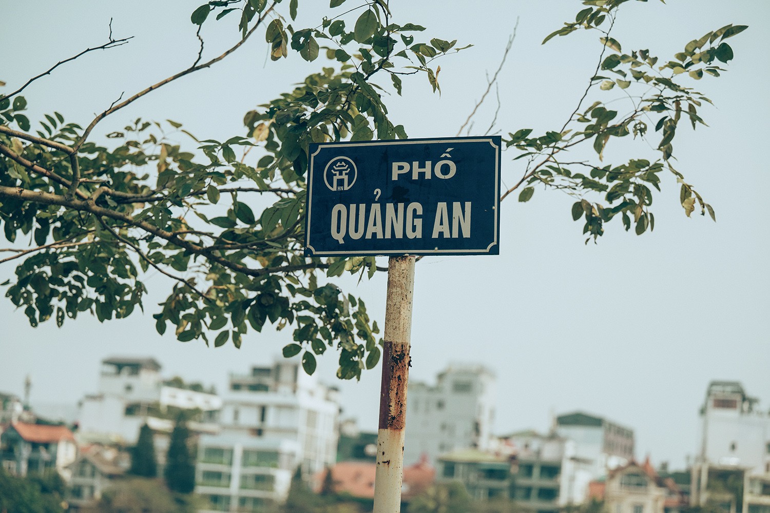 Mới đây, tạp chí Time Out&nbsp;công bố danh sách "30 con đường tuyệt vời nhất thế giới năm 2024". Đáng chú ý, danh sách này có sự xuất hiện của phố Quảng An, quận Tây Hồ, Hà Nội.