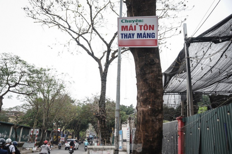 Tình trạng thân cây bị đóng đinh để bày bán hàng hóa, treo biển quảng cáo đã diễn ra nhiều năm nay trên các tuyến phố Hà Nội.