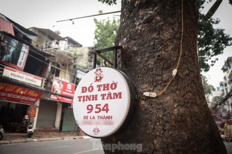 Biển hiệu quảng cáo được đóng đinh cố định trên cây trước cửa hàng trên đường Đê La Thành.
