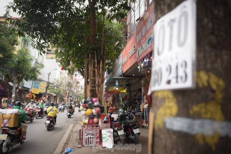 Hàng loạt cây xanh ở Hà Nội bị đóng đinh giăng đèn, treo bảng hiệu - 13