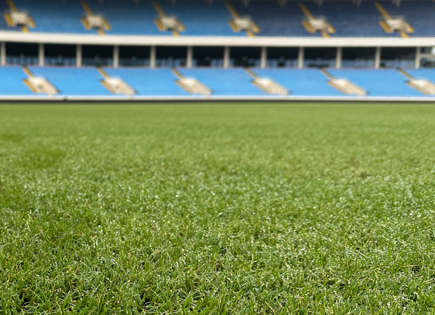 Theo yêu cầu của FIFA và AFC, mặt cỏ phải được cắt sâu, chỉ cao khoảng 1,5 cm.